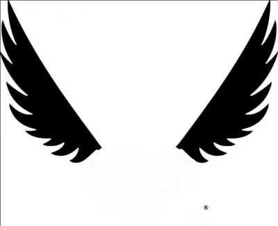 Encore une marque américaine de guitares et basses, connue pour ses formes très "metal" comme, par exemple, les Razorback dessinées par Dimebag Darrell de Pantera.