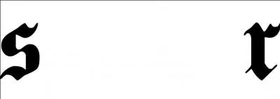 Matthew Bellamy (Muse) et Pete Townshend (The Who) ont utilisé des guitares de cette marque américaine.