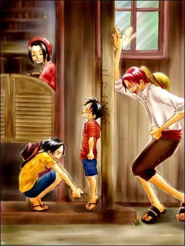 Qui se moque de la petite taille de Luffy ?