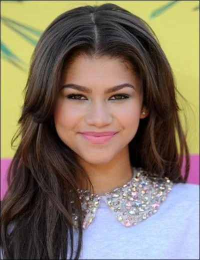 Zendaya fera une apparition sur un clip de Taylor Swift ; lequel ?