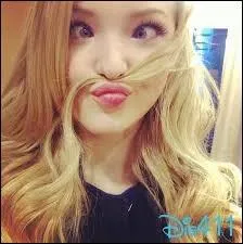 Quelles sont ses professions ?