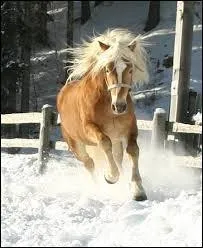 Quelle est cette robe ?