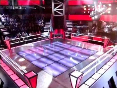 À quelle phase de The Voice Kids correspond cette image ?