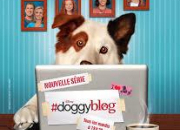 Quiz #Doggyblog