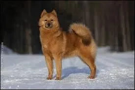 Dans le 5e groupe, je demande le --------.