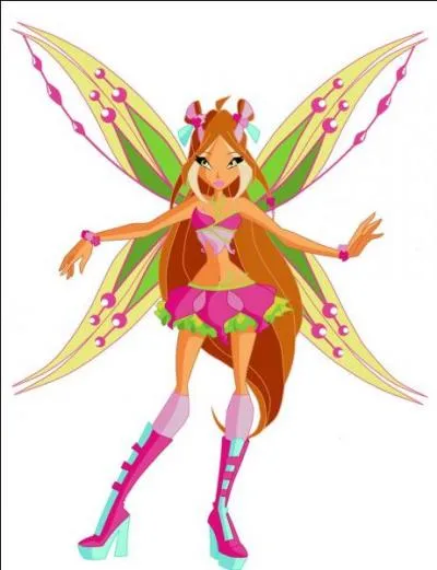 Quelle est sa transformation ?