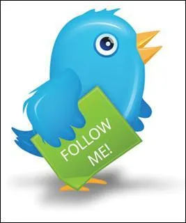 Environ combien de personnes ont un compte Twitter ?