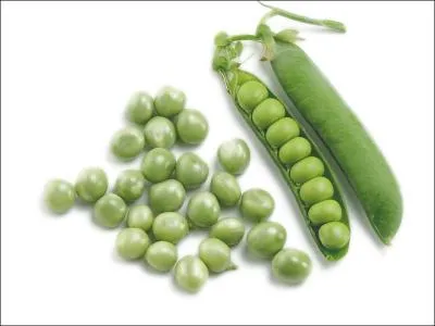 "Il essayait courageusement de se dégager de sa gangue de craie". Que signifie "gangue" ?