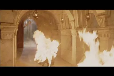 De quelle manière le seigneur Denethor meurt-il ?