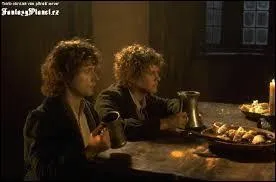 Quel est le nom de l'auberge dans laquelle les Hobbits trouvent refuge ?