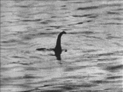 Christian Spurling a réalisé cette très célèbre photo. C'est une des rares photos du fameux « monstre du Loch Ness » que l'on a surnommé « Nessie ». Mais, à votre avis, cette photo est-elle une escroquerie ou une photo montrant ce monstre ?
