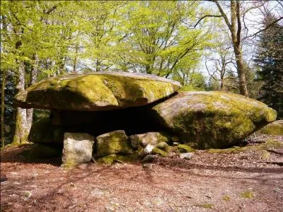 Dans quel département découvrirons-nous l'imposant dolmen Chevresse au coeur de la forêt de Breuil Chenue ?
