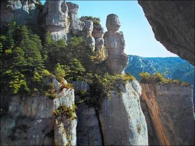Où pourrez-vous faire une magnifique photo des Vases de Sèvres et de chine ?