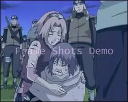 Dans les pisodes 20-25 Sakura et Chiyo ont battu ensemble un...