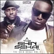 Comment s'appelle le premier album de The Shin Sekai ?