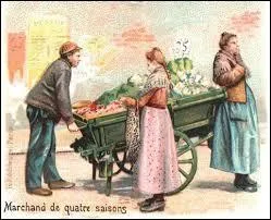 Qui est le verdouzier ?