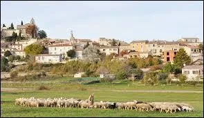 Nous nous rendons dans le village Bas-Alpin de Saint-Michel-l'Observatoire. Nous partons en région ...