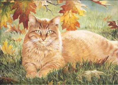 De quel clan Source fait-elle partie ?