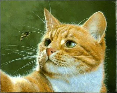 Dans quel clan Rusty est-il devenu un guerrier ?