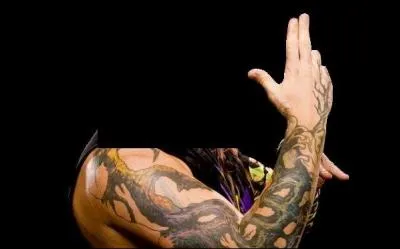 Qui est ce catcheur ?