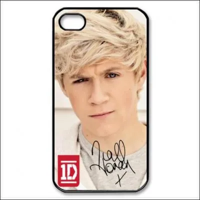 De quel instrument joue Niall ?