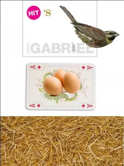 Celle-ci est une vrai expression anglaise, utilisable quotidiennement. Facile ?