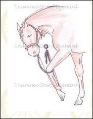 Est-ce que la prise de longe peut blesser le cheval ?