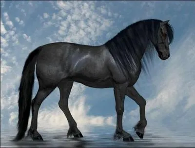 Le mécanisme du pas est :