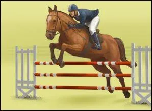 Quel est le mécanisme du saut ?