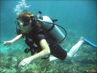 Quelle est cette activit sportive ?