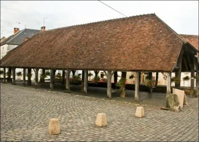 La ville de Sainte-Sévère-sur-Indre où fut tourné le film de Jacques Tati "Jour de fête" est une ville du département :