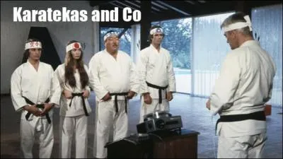 Dans la série "Karatekas and Co" de 1973, quel rôle jouait Jean Marais ?