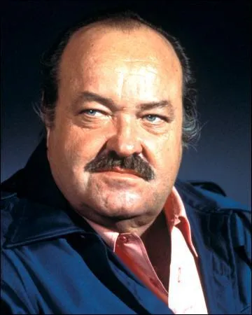 Dans la série "Cannon" des années 1970, quelle était la passion du détective Privé Cannon ?