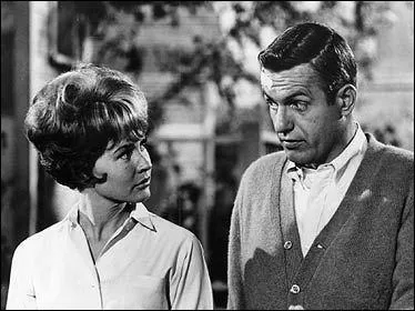 Dans la série de 1967 "Une mère pas comme les autres", en quoi la mère de Dave Crabtree s'était-elle réincarnée ?