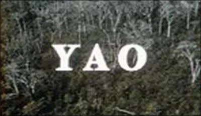 Dans la série "Yao" de 1969, dans quel pays se déroulait l'histoire ?