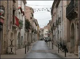 Nous déambulons dans les rues de la ville Héraultaise de Villeveyrac. Nous nous promenons en région ...