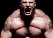 Quiz Brock Lesnar : The Beast