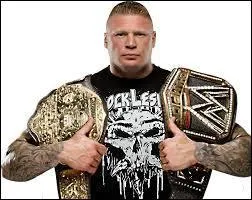 Lors du SummerSlam 2014, Brock Lesnar remporte une nouvelle fois le titre suprême de la fédération après avoir outrageusement dominé et malmené John Cena. Ainsi, Lesnar a obtenu son :