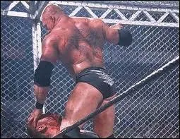 Par la suite, l'Undertaker se mettra en travers de la route de Brock Lesnar. Leur rivalité amènera plusieurs affrontements violents pour enfin s'achever à No Mercy 2002. Quelle était la stipulation du match ?