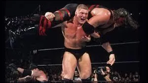 Début 2003, Brock Lesnar ajoute un nouvelle ligne à son palmarès en remportant :