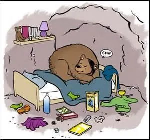 Pouvez-vous me dire, en anglais, le terme "désordonné" (adjectif) ?