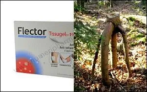 Que signifie la photo ci-contre ?