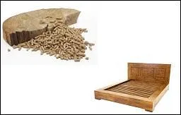 Il est dit que les enfants sont :