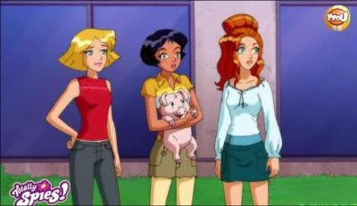 Quel animal est l'animal de compagnie d'Alex ?