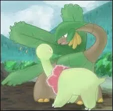 Quand Meganium et Tropius font un uf, à l'éclosion on peut obtenir... ou ... (2 réponses)