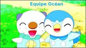 Ce Moustillon et ce Tiplouf sont frères, donc leurs parents sont ...+ ... ou ...+ ... ou ...+ ...
(3 réponses)