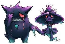 Quand Ectoplasma et Magiréve font un uf, à l'éclosion on peut obtenir... ou... (2 réponses)