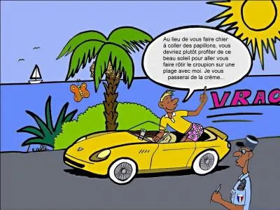 Je suis annoncée par le papillon.