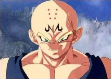 Ce personnage fait son malin, mais il n'a pas de nez ! Vous comprenez donc que Krilin fait partie de la fusion, mais qui est l'autre ?