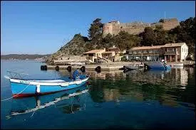 Nous partons faire une petite balade sur l'Ile de Port-Cros. Nous nous rendons en région ...